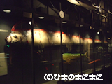 20100123.5.DSCF9080.png