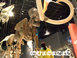 20100123.6.DSCF9131.png