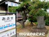 obuse.20100613.DSCF9181.png